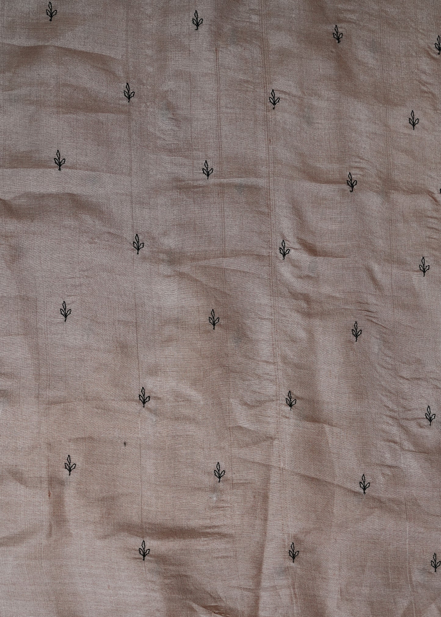Beige Tussar Embroidered Saree