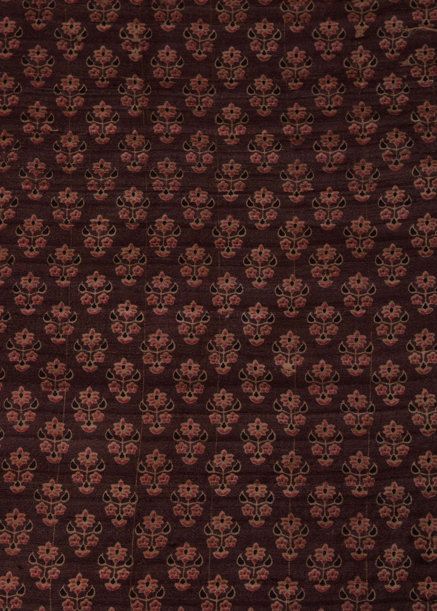 Multicoloured Tussar Printed Saree