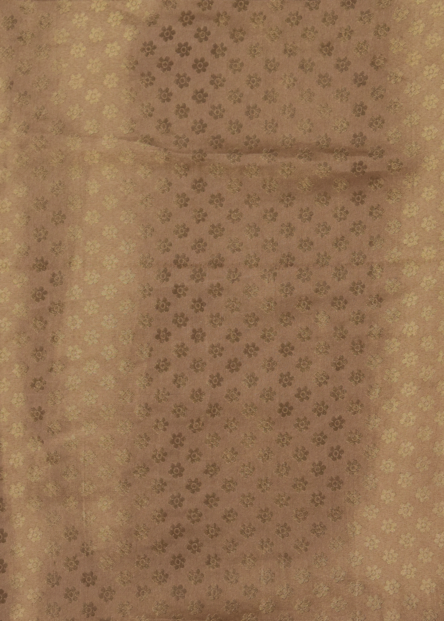 Cream Moroccan Silk Embroidered Saree