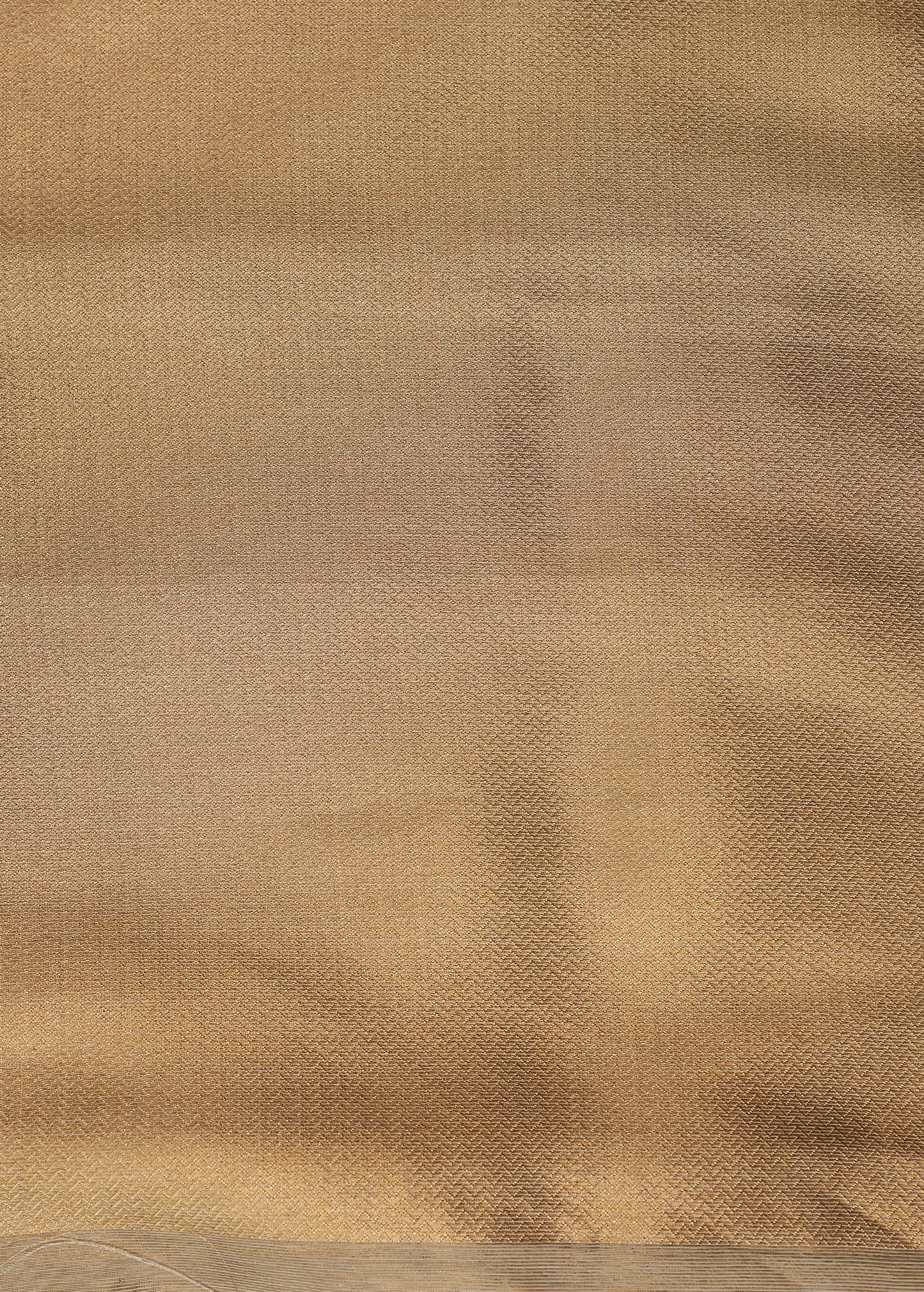 Gold Tissue Banarasi Saree