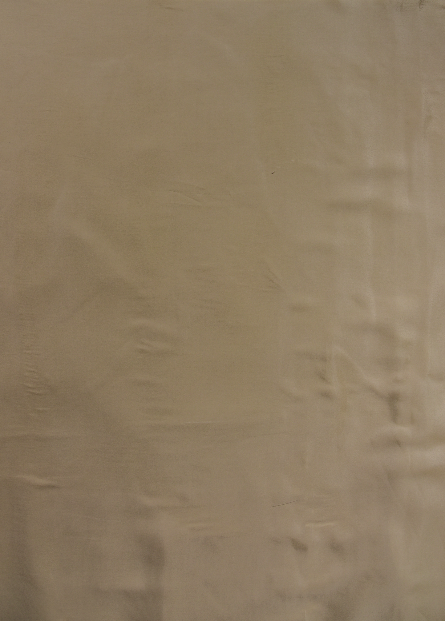 White Organza Dress Material
