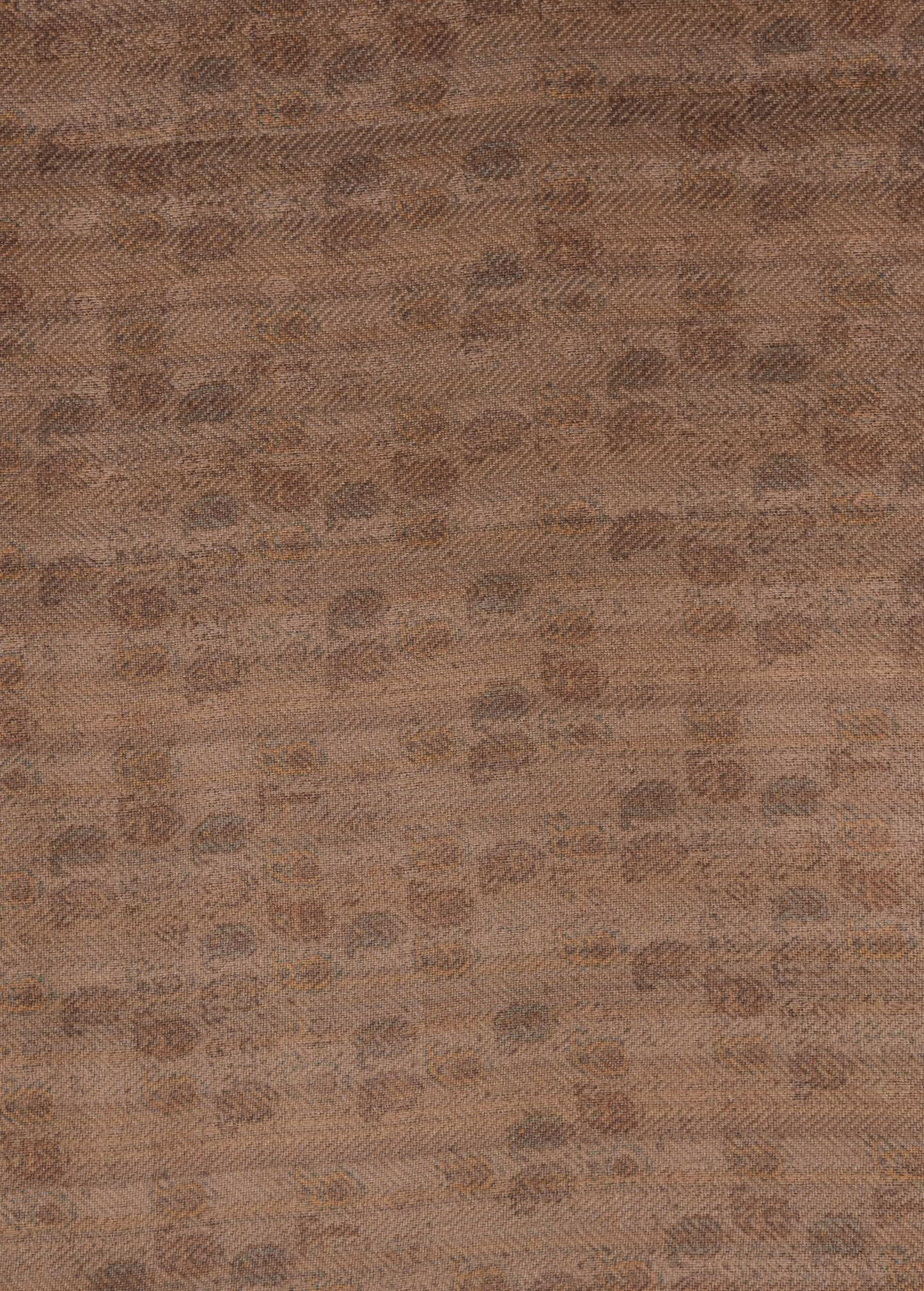 Beige Pashmina Dress Material