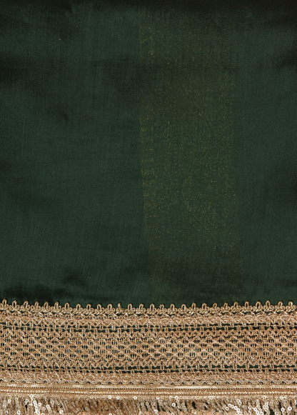 Green Organza Embroidered Saree