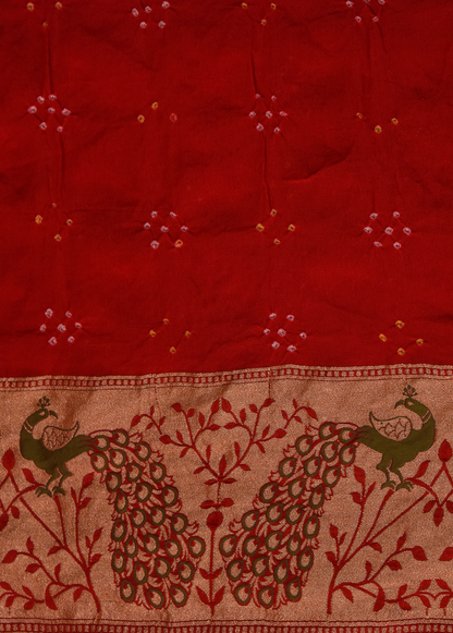 Red Georgette Bandhani Saree