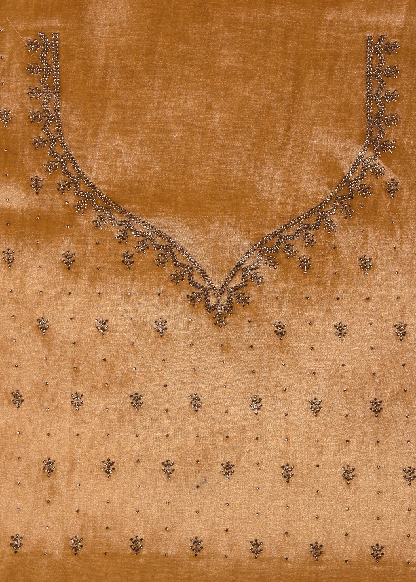 Gold Tissue Organza Embroidered Saree