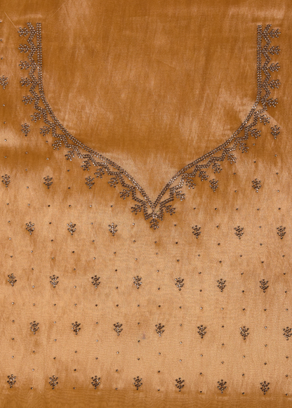 Gold Tissue Organza Embroidered Saree