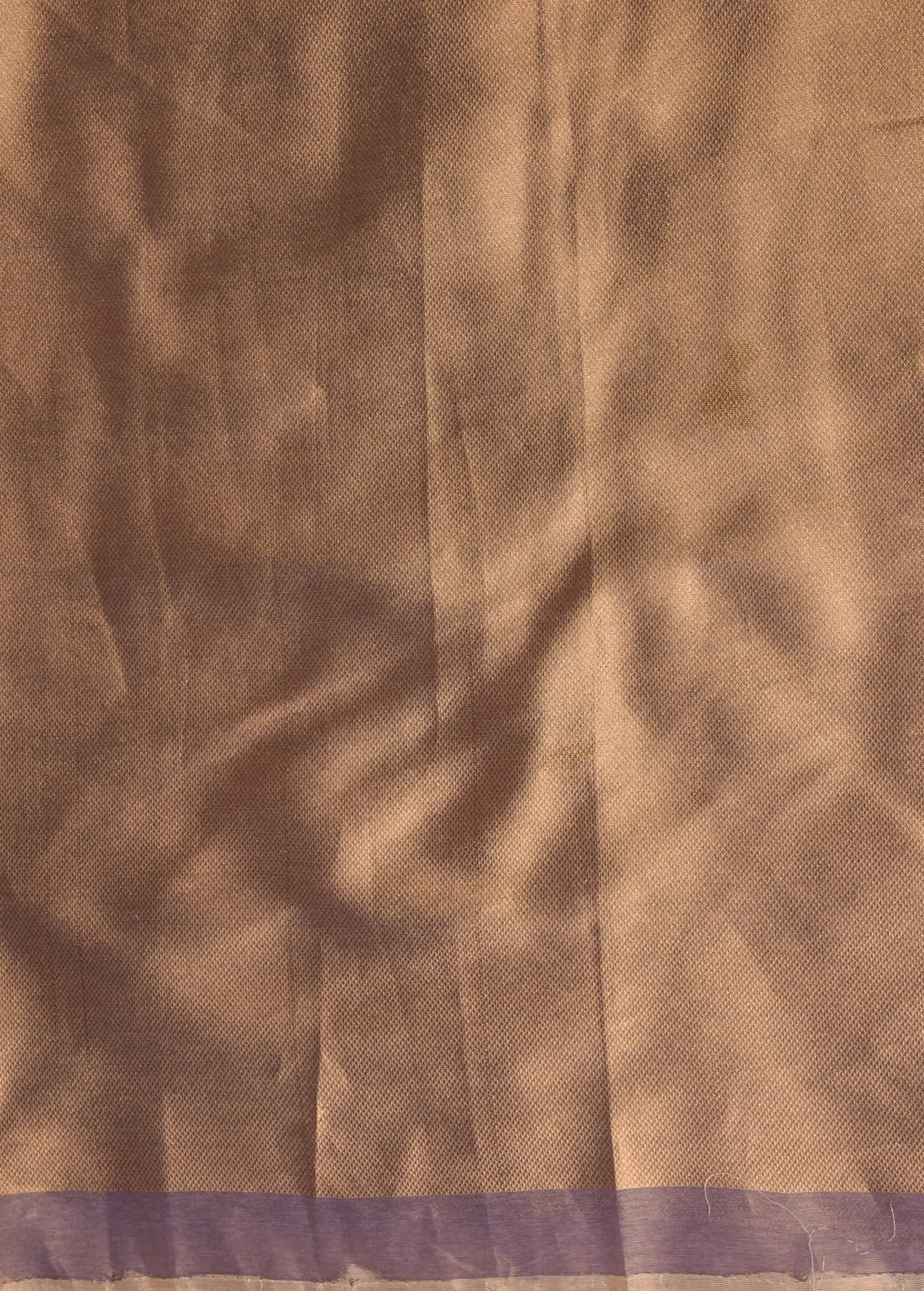Beige Tissue Cotton Banarasi Saree
