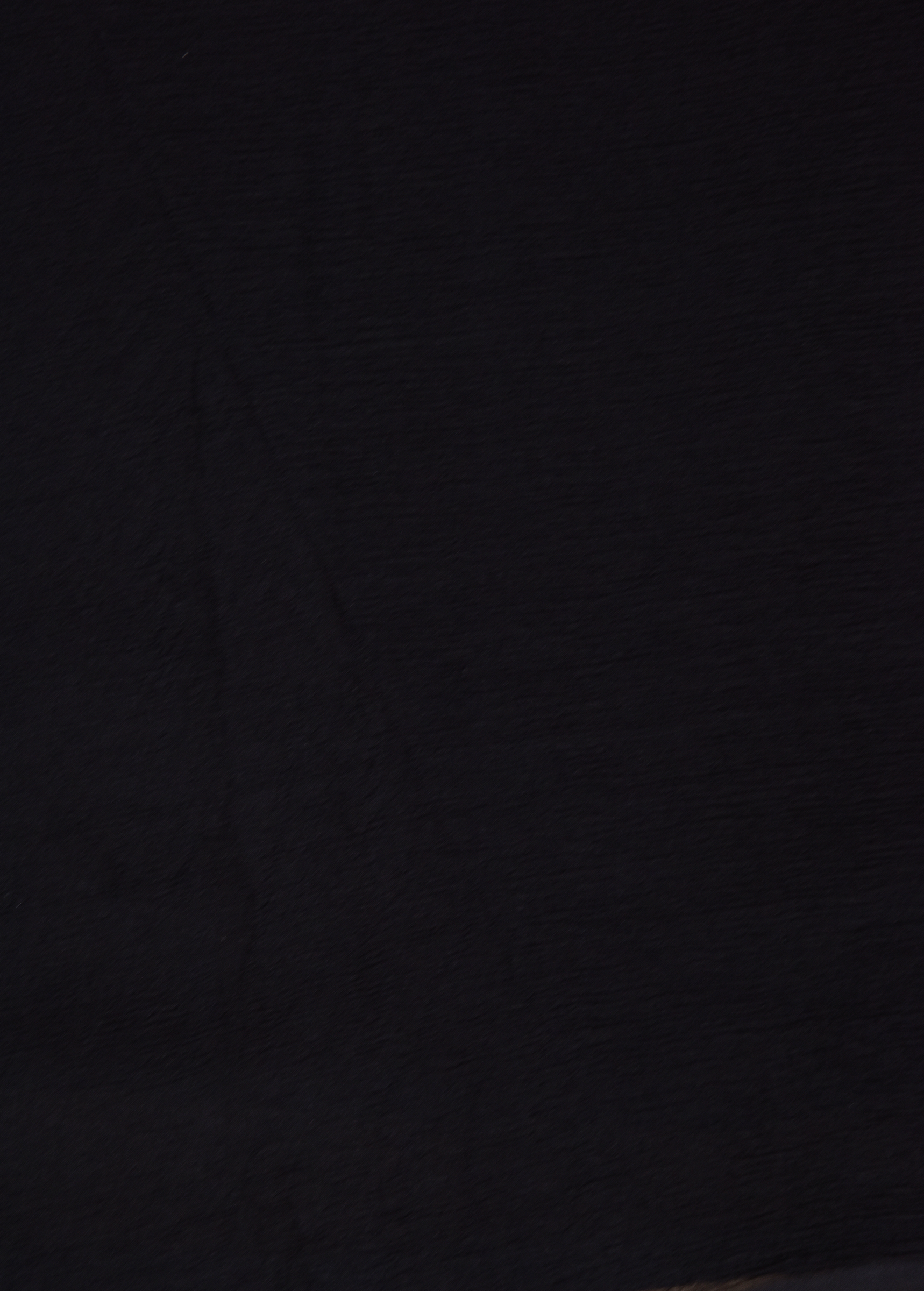 Black Printed Chiffon Saree - Image 4 | Greenways Delhi