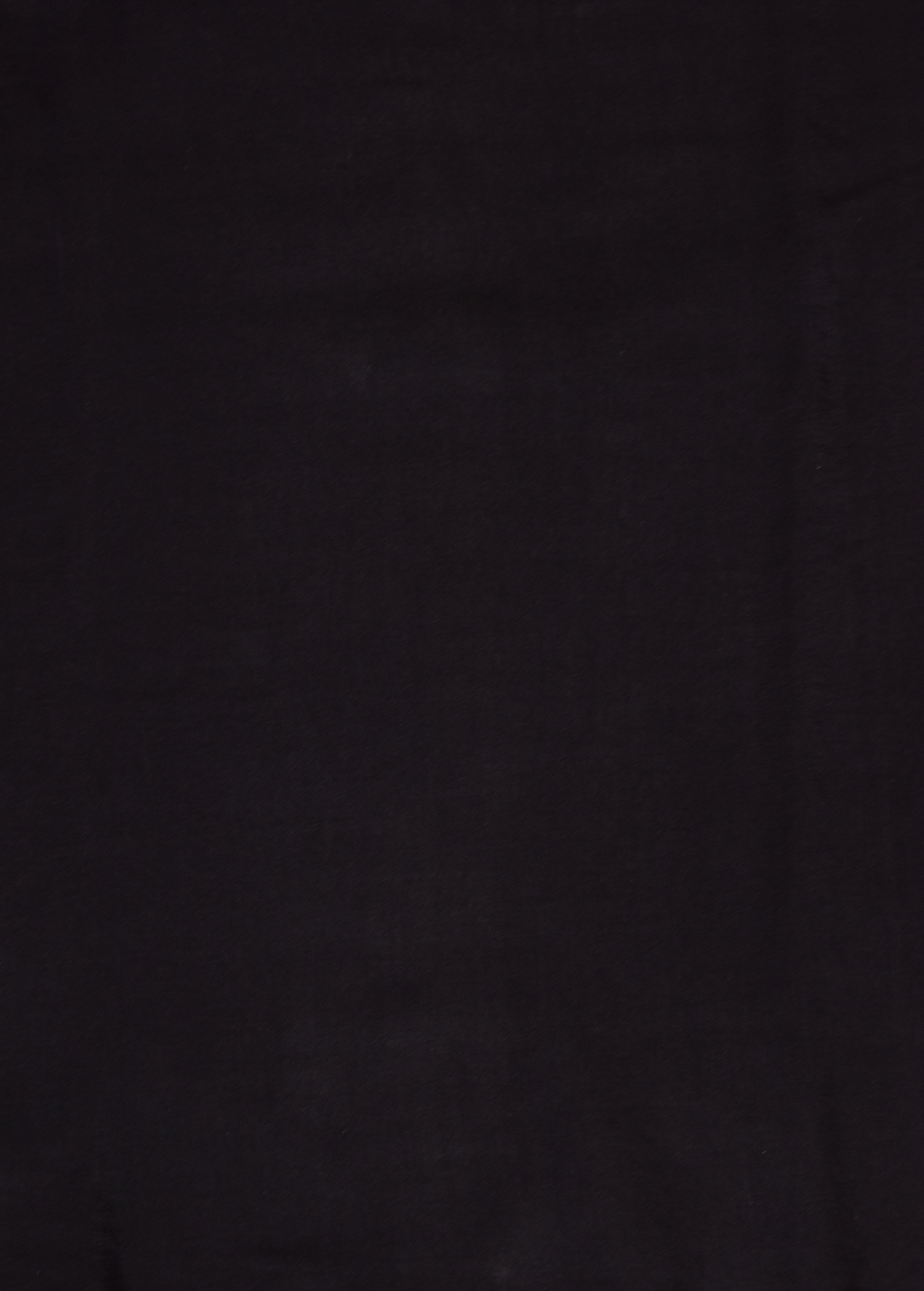 Black Printed Chiffon Saree - Image 4 | Greenways Delhi