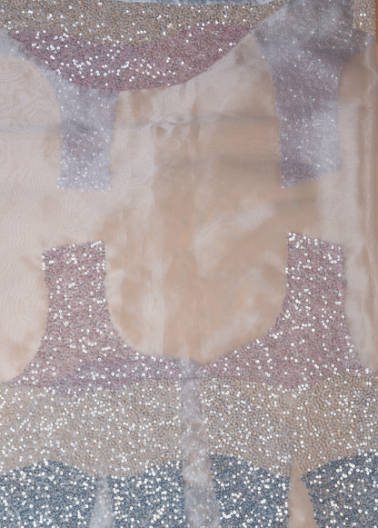 Blue Glass Tissue Embroidered Saree