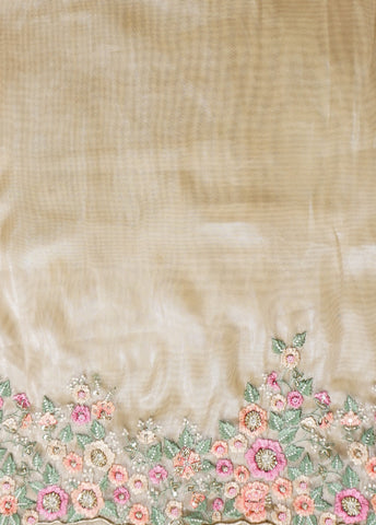 Beige Shimmer Tissue Embroidered Saree