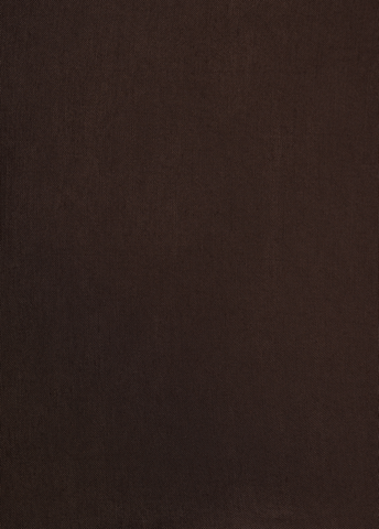 Brown Tussar Dress Material