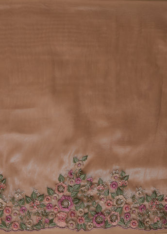 Gold Tissue Organza Embroidered Saree