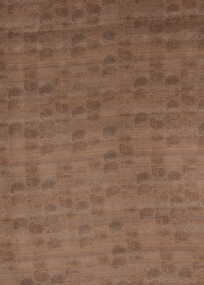 Beige Pashmina Dress Material