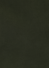 Green Tussar Dress Material