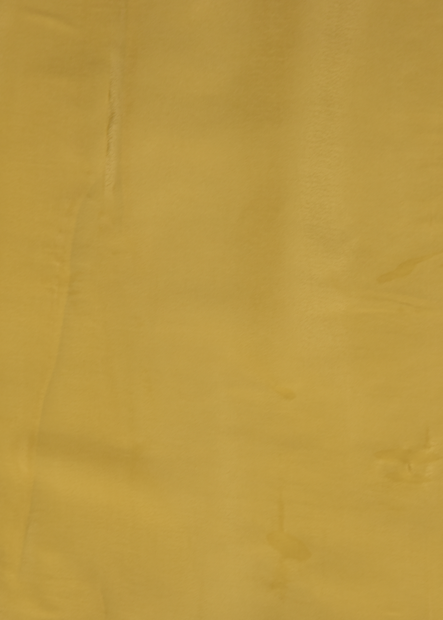 Yellow Sarees - Greenways