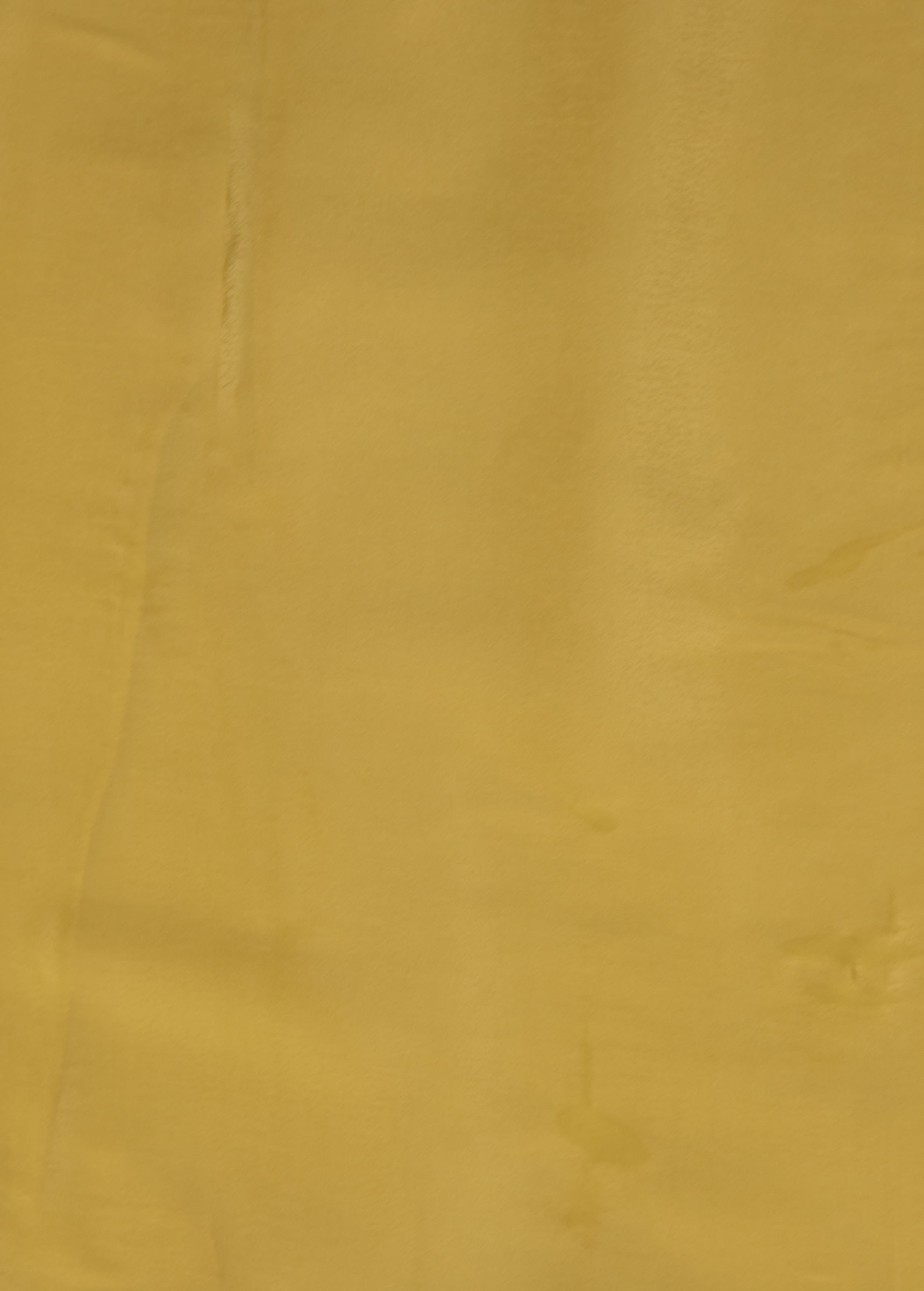 Yellow Organza Dress Material - Image 5 | Greenways Delhi