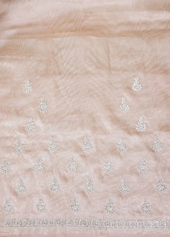 Pink Shimmer Tissue Embroidered Saree