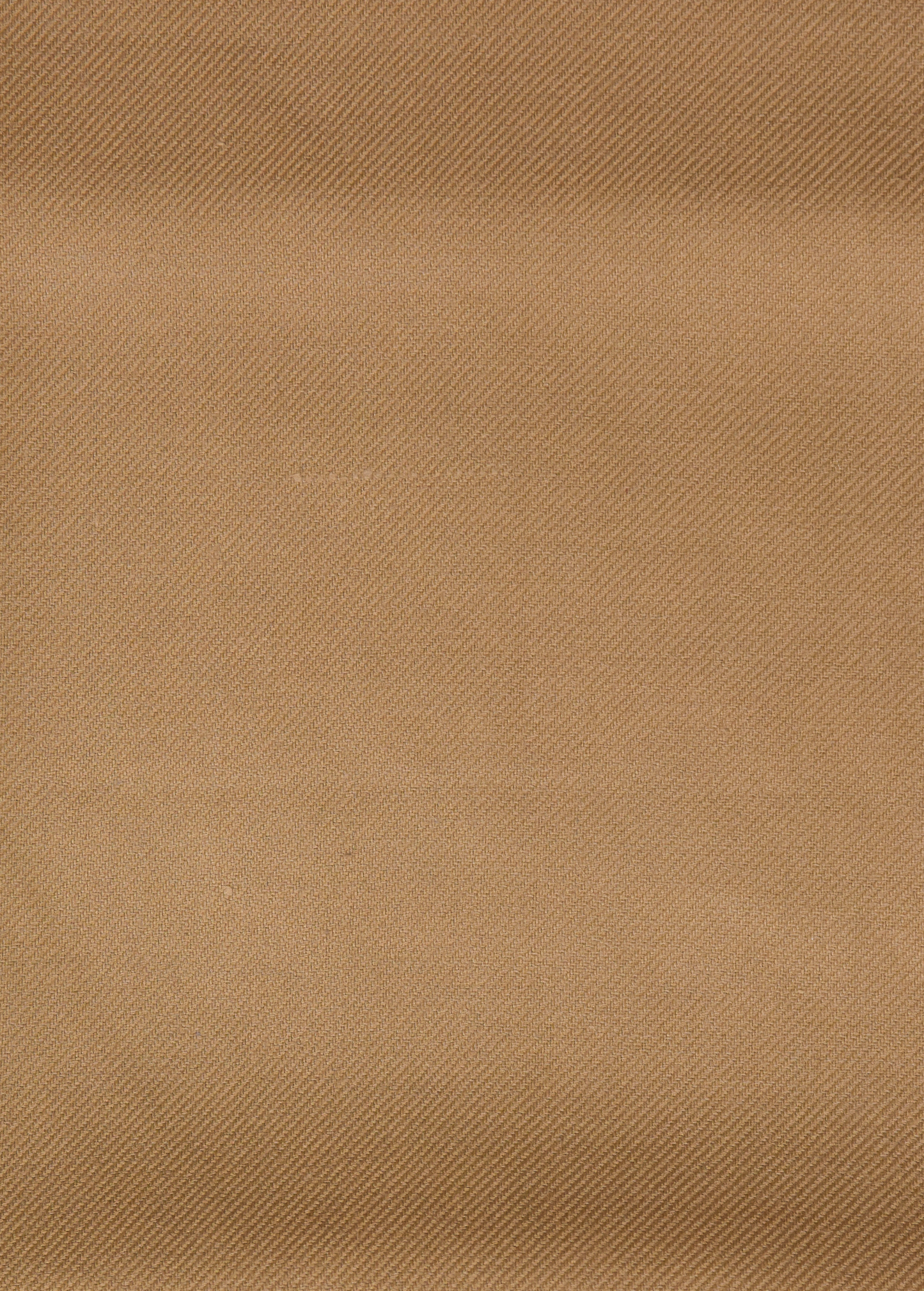 Beige Pashmina Dress Material