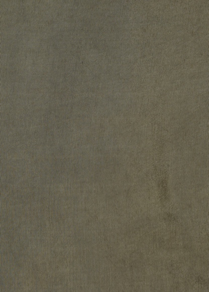 Green Chanderi Cotton Dress Material